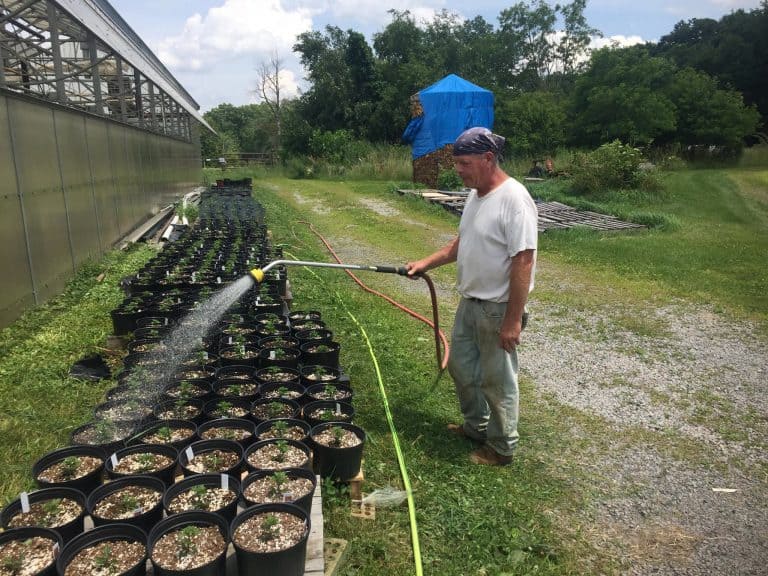 From food banks to farmers market, Villa Maria Farm feeds many multitudes