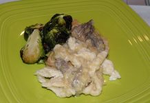 Turkey Tenderloin with Morel Mushroom Sauce