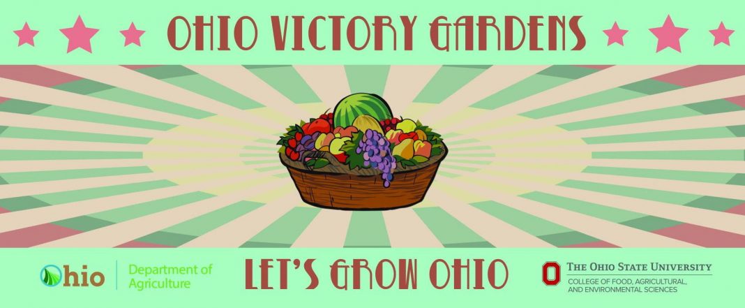 Ohio’s Victory Gardens campaign adds Mahoning County | The program is continuing to expand with a larger seed distribution across the state.