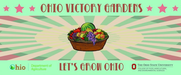 Ohio’s Victory Gardens campaign adds Mahoning County | The program is continuing to expand with a larger seed distribution across the state.