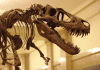 Find museums in Youngstown-Warren, Cleveland, Pittsburgh Find museums in Youngstown-Warren, Cleveland, Pittsburgh