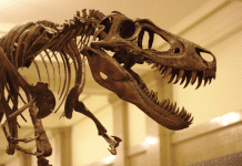 Find museums in Youngstown-Warren, Cleveland, Pittsburgh Find museums in Youngstown-Warren, Cleveland, Pittsburgh