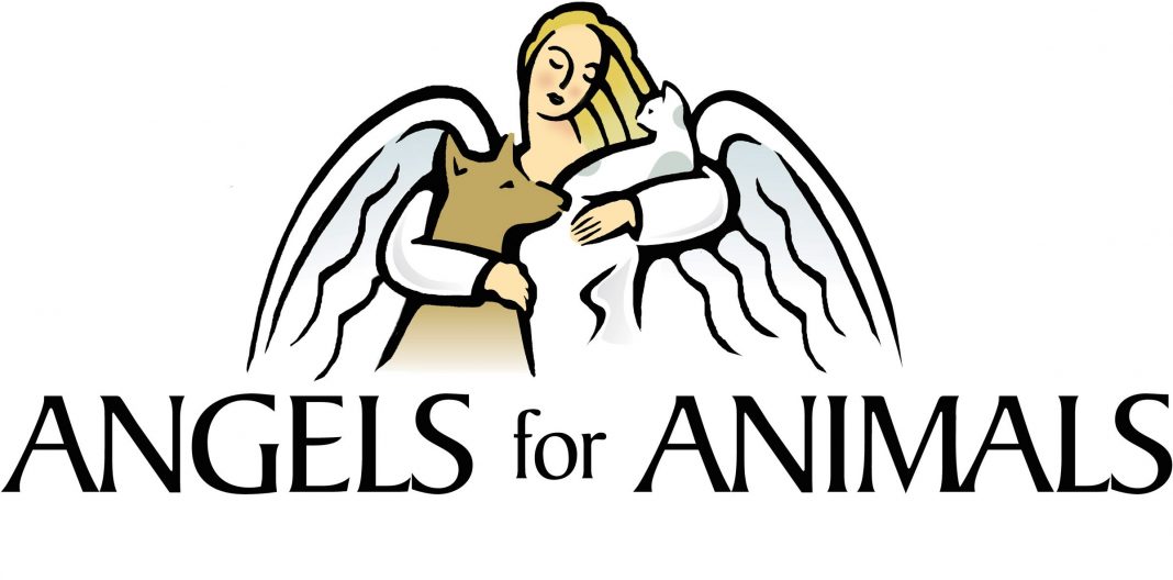 Angels for Animals annual garage sale set for April 22-24