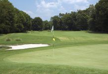 Jewish Community Center to hold Suzi Solomon Golf Classic