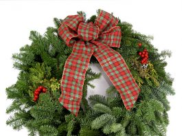 CityScape at Briel's Holiday Greenery Sale set for Nov. 26, Dec. 1, Dec. 3