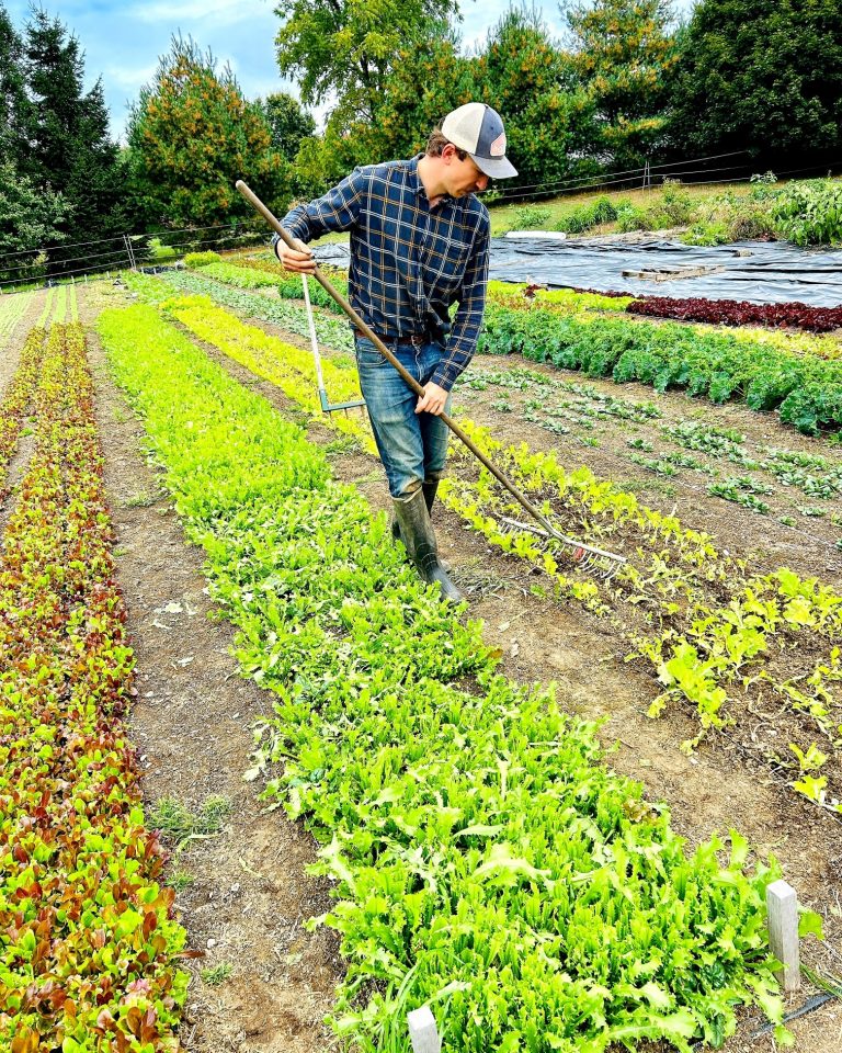 Regional farmers markets offer fresh produce, specialty items