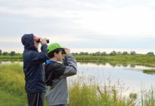 Enjoy Summer: MetroParks hikes, nature explorations for June