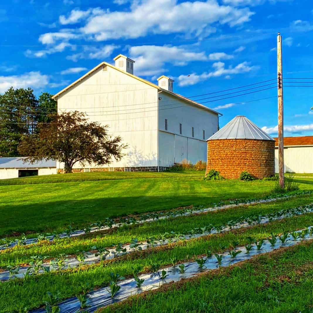 Where to find summer farmers markets in the Mahoning Valley. This photo depicts the barn and fields at Villa Maria.