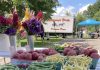 Regional farmers markets offer produce, baked goods, activities
