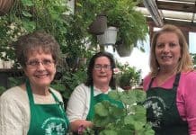 Holborn Herb Growers Guild sets annual plant sale for May 10