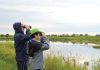 MetroParks to offer walks, hikes, nature explorations. This picture depicts two people observing wildlife at the Mill Creek Wildlife Sanctuary in Canfield. Mill Creek Metroparks will host Birding the Sanctuary on July 19 and Aug. 16 at the Mill Creek Wildlife Sanctuary, 2650 W. Calla Road, Canfield 44406. Call 330-702-3000 for more information or visit millcreekmetroparks.org. Image courtesy of Mill Creek MetroParks