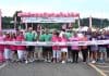 16th annual Panerathon to return Sunday at Covelli Centre. This image depicts Panerathp