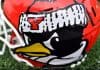 This pictures depicts a YSU Football helmet. Penguins to kick off season Aug. 28 against Mercyhurst