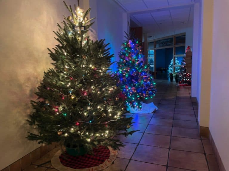 Holiday displays, marketplace return to Fellows Riverside Gardens