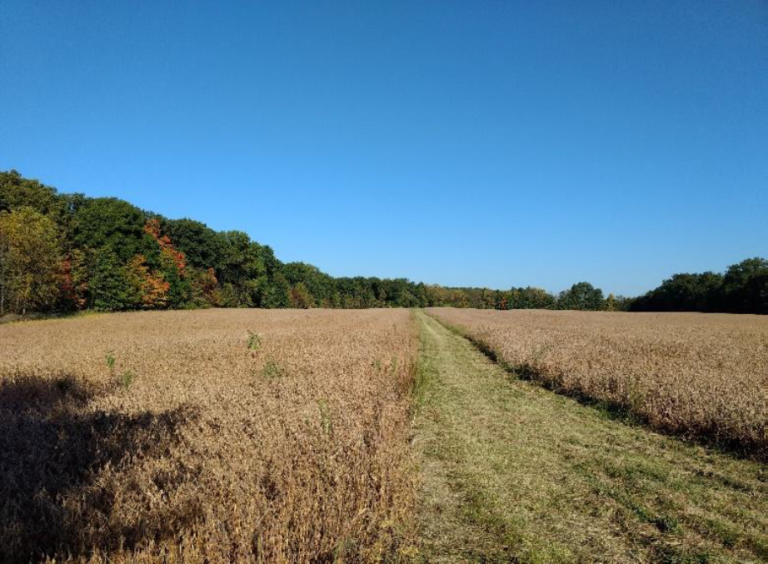 Ohio earmarks $6.5 million for state farmland preservation