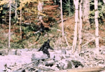 Investigator to lecture on Bigfoot phenomenon April 8