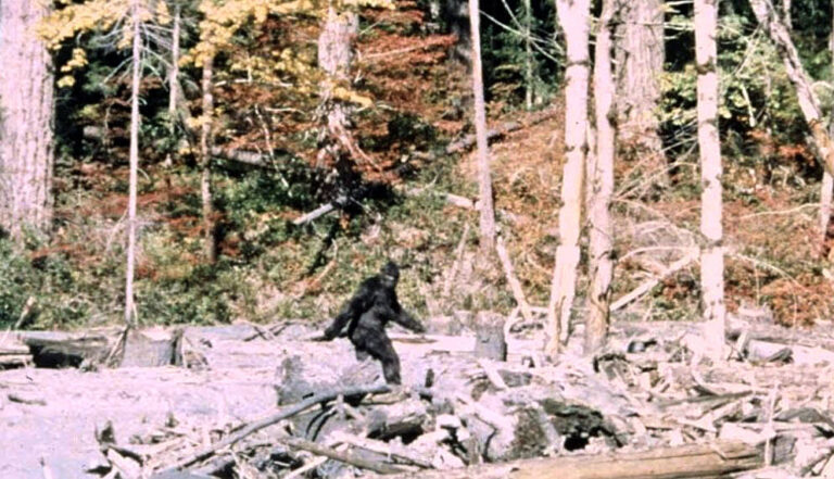 Investigator to lecture on Bigfoot phenomenon April 8