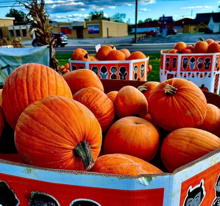Where to find regional farmers markets in Youngstown-Warren